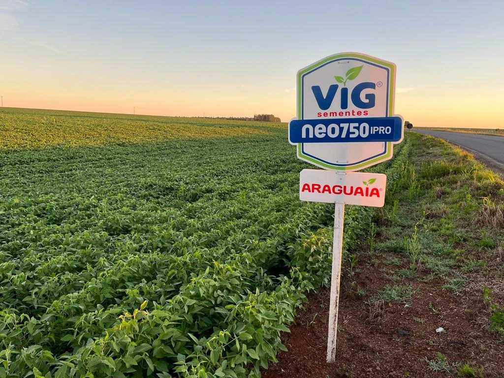 Placa agrícola em PP Corrugado PoliDello® instalada em uma lavoura