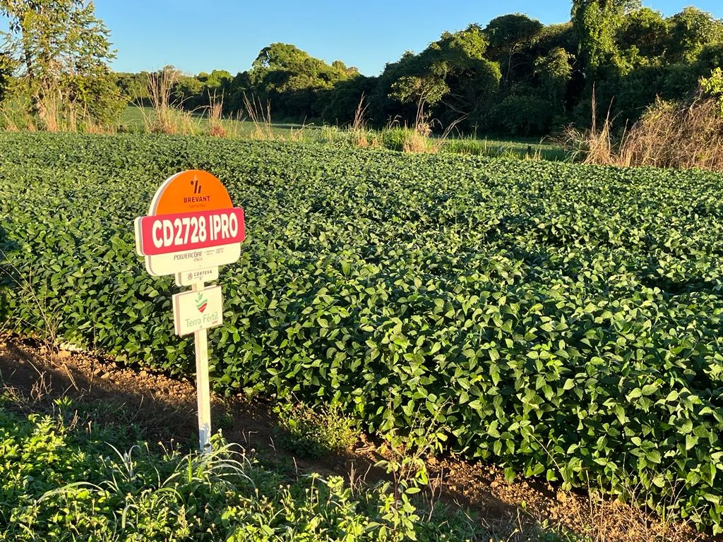 Placa de identificação instalada em lavoura